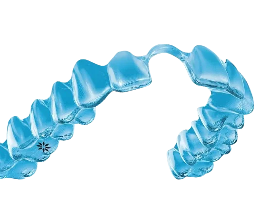3D Dental Model
